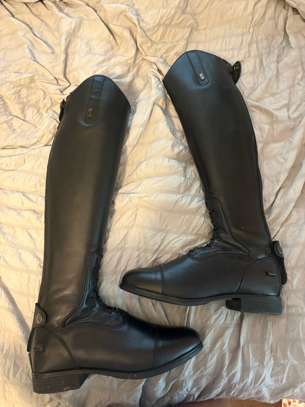 BRAND NEW Tredstep Donatello III tall boots